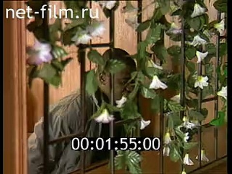 staroetv.su / Дорожный патруль (ТВ-6, 13.08.1996)