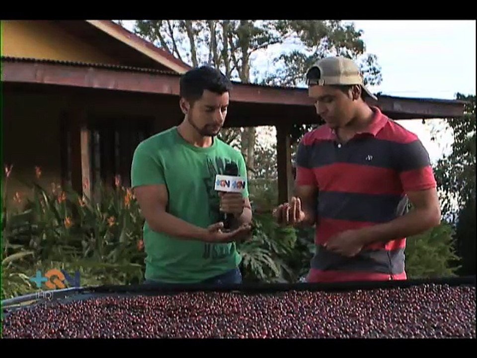 Un beneficio nos revela el secreto del éxito para producir café de exportación