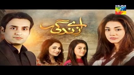 Aye Zindagi Episode 4 Full HUM TV Drama Apr 2, 2015