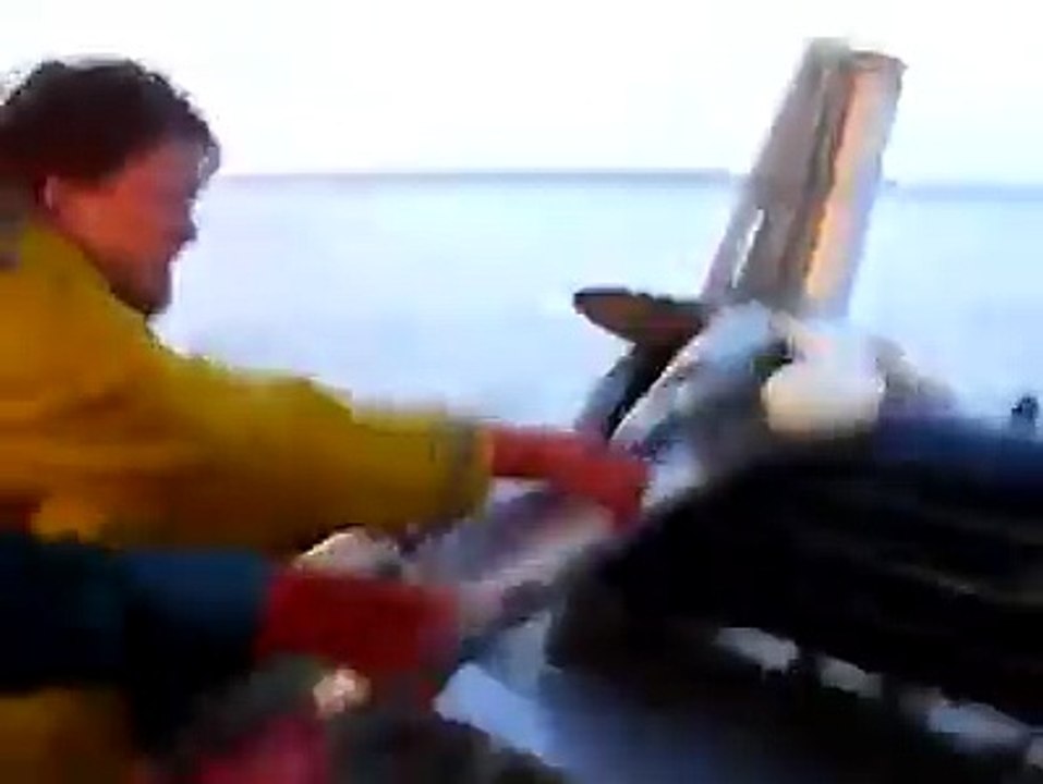 Amazing Fishing
