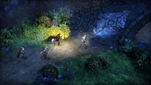 Pillars Of Eternity (2015) PC