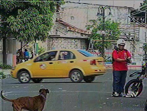 Incautan 150 kilos de marihuana en Guayaquil proveniente de Esmeraldas