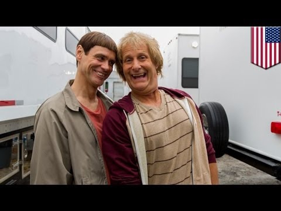 Голый серфер -- причина ДТП на автостраде