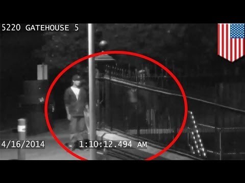 Портленд сбросил 38 млн галлонов воды из-за пары стаканчиков мочи