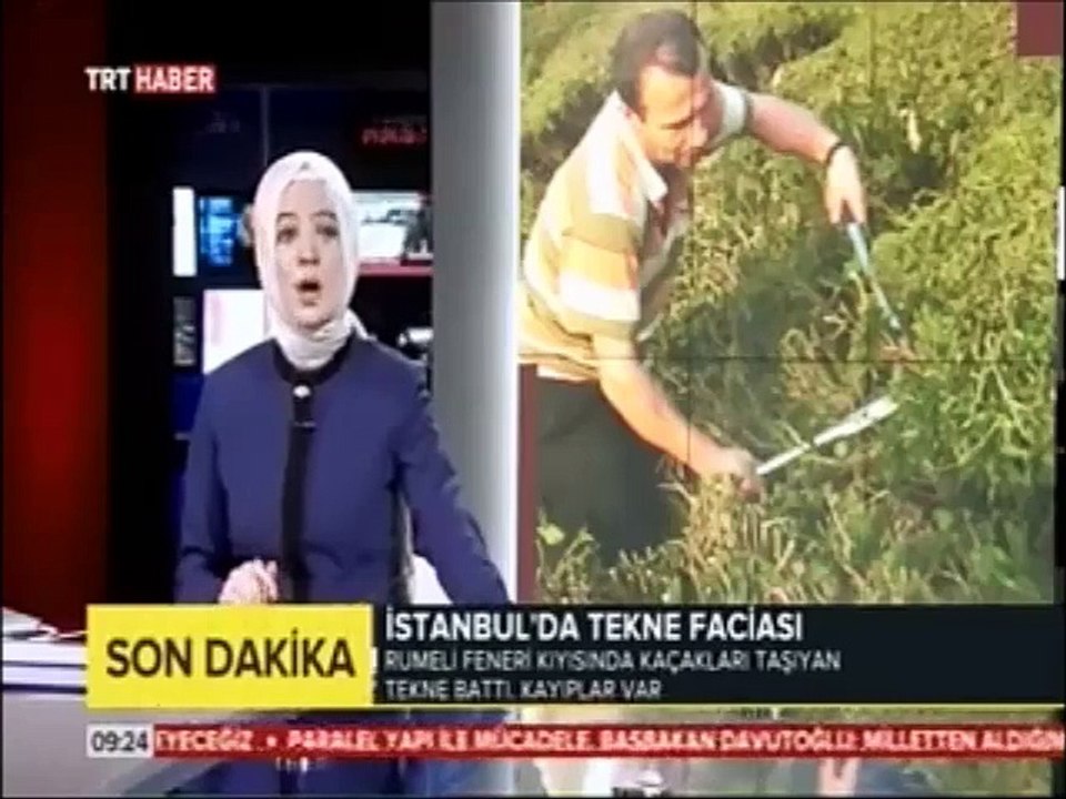 Çay Budama İşlemi Nasıl Yapılır?