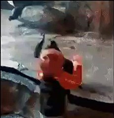 Monkey child and man child playing