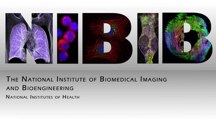 How Does an MRI Work?