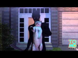 Un douzième chat a été retrouvé tué mais le tueur en série est toujours en cavale