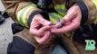 Des pompiers fabriquent un masques à oxygène de fortune pour sauver des hamsters