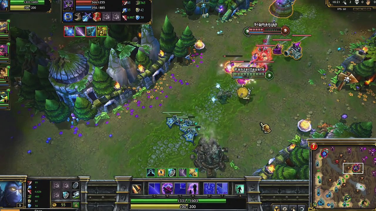 Shen Champion Spotlight