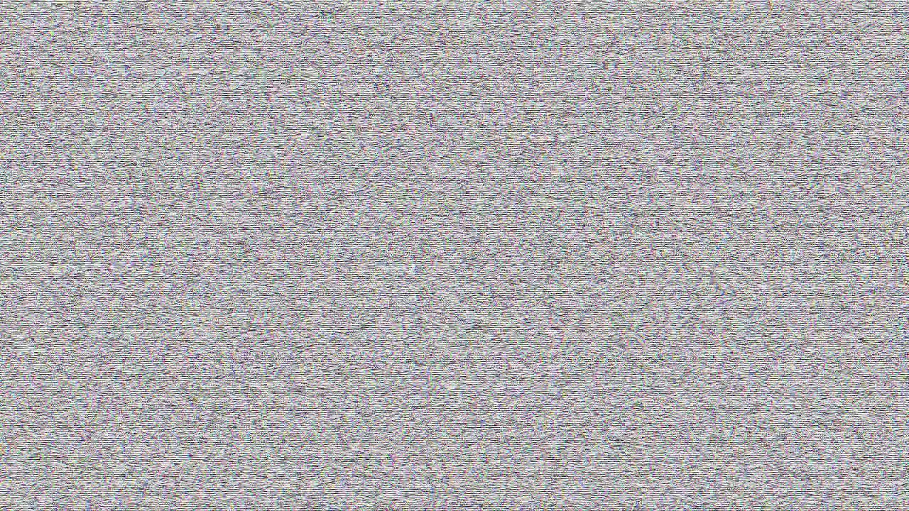 COLLEGE COEDS!! (4.29.11 - Day 729)