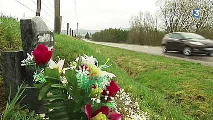 Faut-il abattre les arbres au bord des routes ?