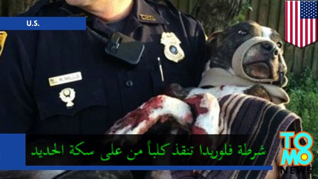 كلب يتعرض للرصاص ثلاث مرات ومن ثم يربط على سكة القطار