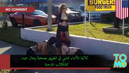 ثلاثية الأثداء تمشي في الطريق بصحبة رجال عبيد كالكلاب المدجنة