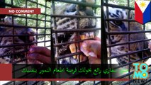 أطفال يطعمون الدجاج لنمر في منتزه سفاري للحيوانات في الفيلبين