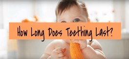 How Long Do Teething Symptoms Last For in Teething Infants