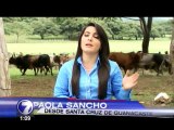 Ganaderos cerraron contratos para estar en las corridas de toros de Zapote