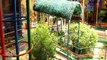 Dos abuelos convirtieron el patio de su casa en un bosque infantil