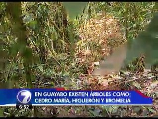 Guayabo reúne una experiencia de senderos históricos y de “vida”