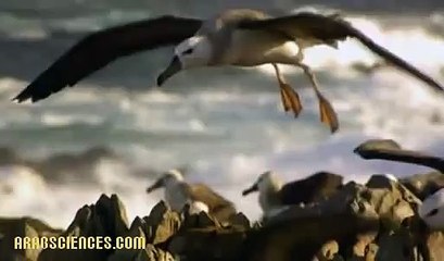 هجرات عظمى : حلقة 2