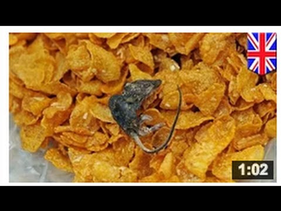 BEURK, BEURK, BEURK!: Une souris est retrouvée dans une boite de Kellogg’s Corn Flakes