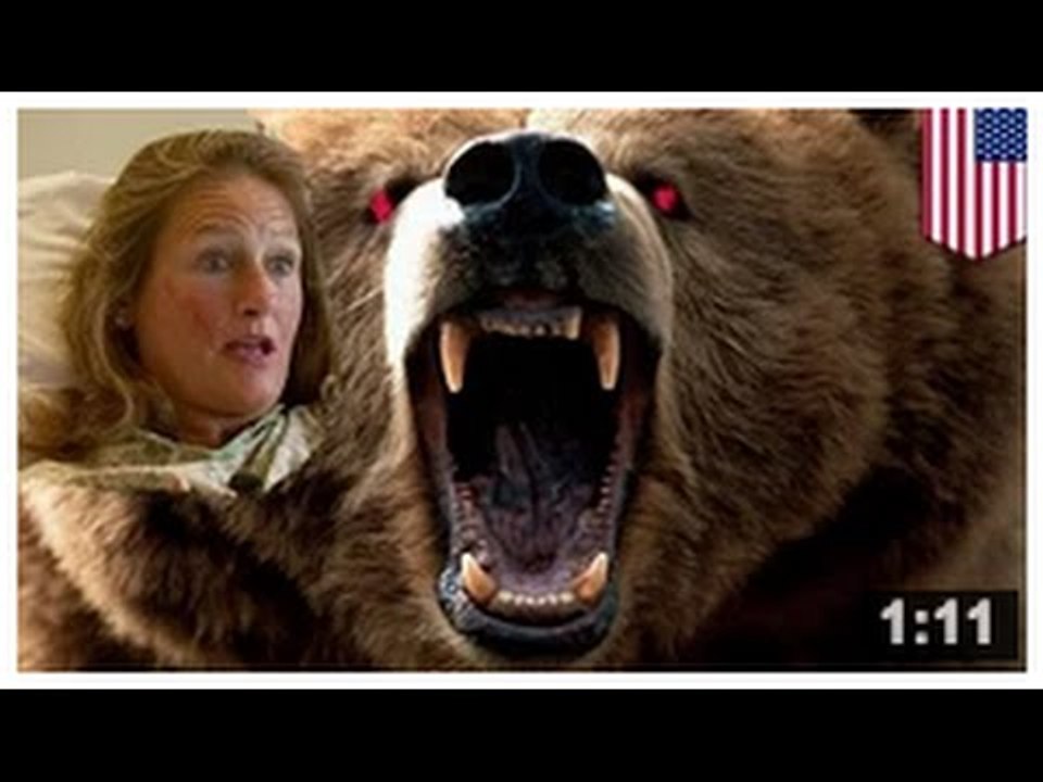 ATTAQUE D’OURS: Un ours s’est attaqué à une randonneuse parce qu’il n’aimait pas ses chiens