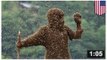 LES ABEILLES (PAS LES OISEAUX): Un homme se fait tuer par plusieurs centaines de milliers d’abeilles