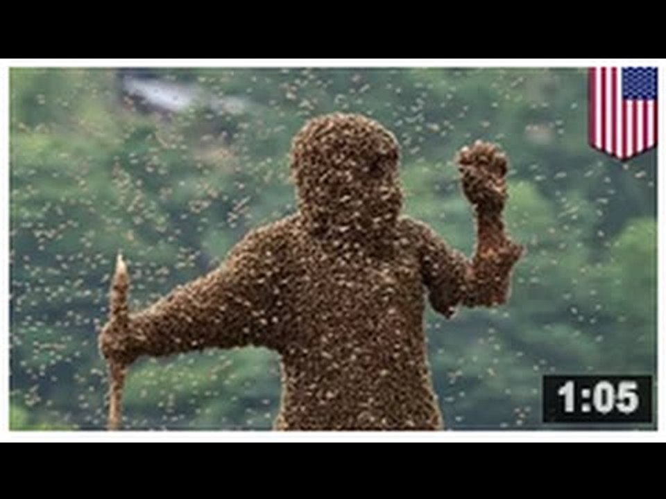 LES ABEILLES (PAS LES OISEAUX): Un homme se fait tuer par plusieurs centaines de milliers d’abeilles
