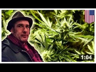 Mystère, mystère: Un vendeur d’herbe disparait dans une ferme à Marie-Jeanne