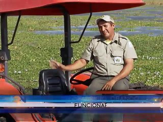 Gracias a miles de costarricenses Palo Verde resucitó y ahora regala un espectáculo natural