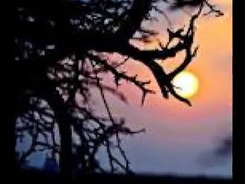 فرحان المسعودي يكسر سناها غناء عبيد عبدالرحمن شعر بوح قصيد