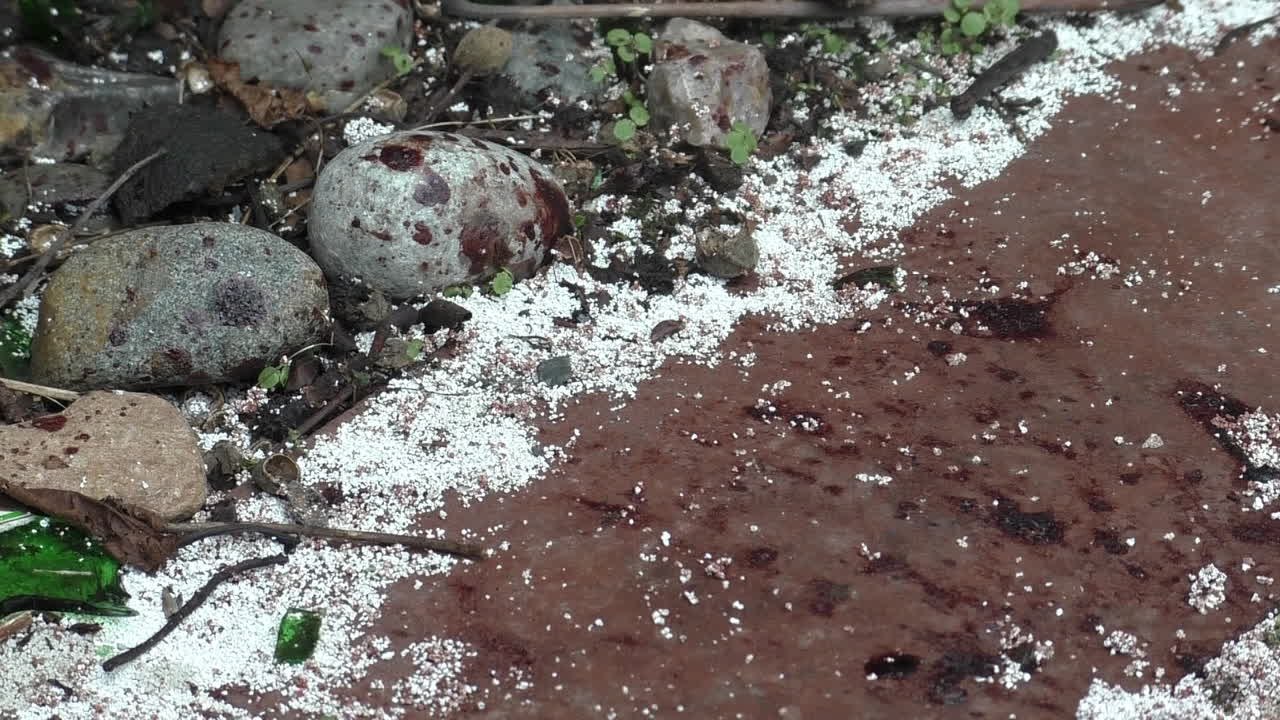 Mysteriöse Leiche in Berlin: War es ein antisemitischer Mord?