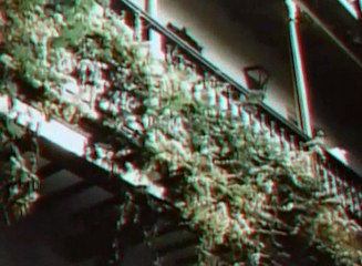 Oasis Of The Zombies In 3D