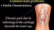 Knee Pain , common causes- Everything You Need To Know - Dr. Nabil Ebraheim