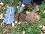 Metal Detecting - Proper Digging Technique & Target Recovery