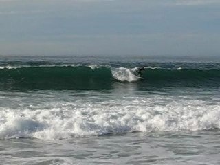 Hossegor surf