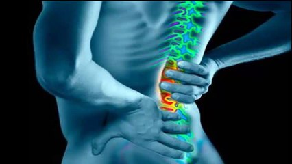 chiropractor in IL | 815-998-1502 | 61764 |chiropractics | Livingston County
