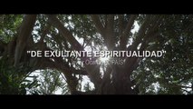 'Aguas tranquilas' - Tráiler español (VOSE - HD)
