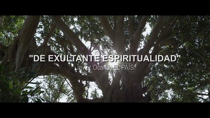 'Aguas tranquilas' - Tráiler español (VOSE - HD)