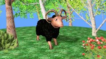 Muffin Songs - Baa Baa Black Sheep | nursery rhymes & children songs with lyrics