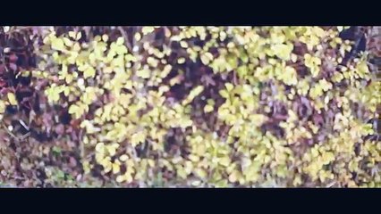 never be alone song .