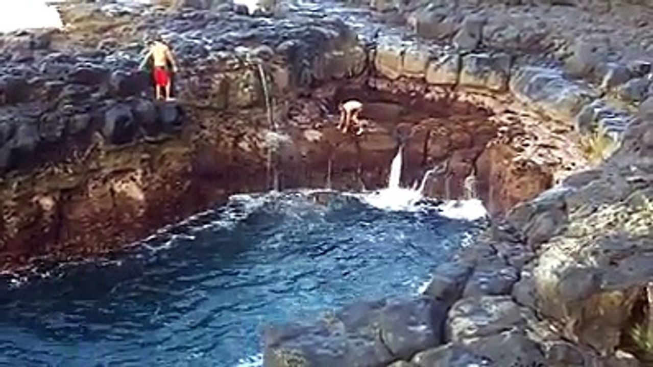 WTF! Crazy Kids