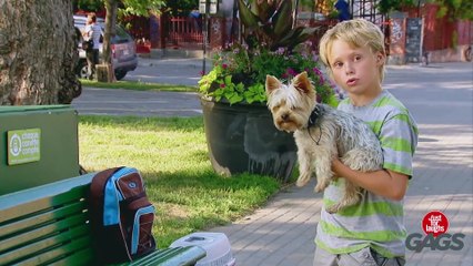 Man Soccer-Kicks Puppy