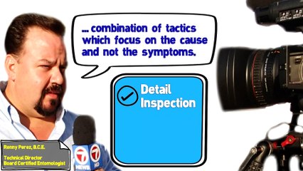 Best Integrated Pest Management Company in Florida and NY