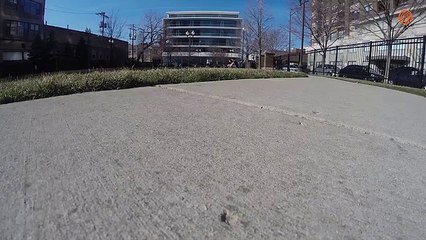 Une GoPro sur un moineau : ooops.. FAIL