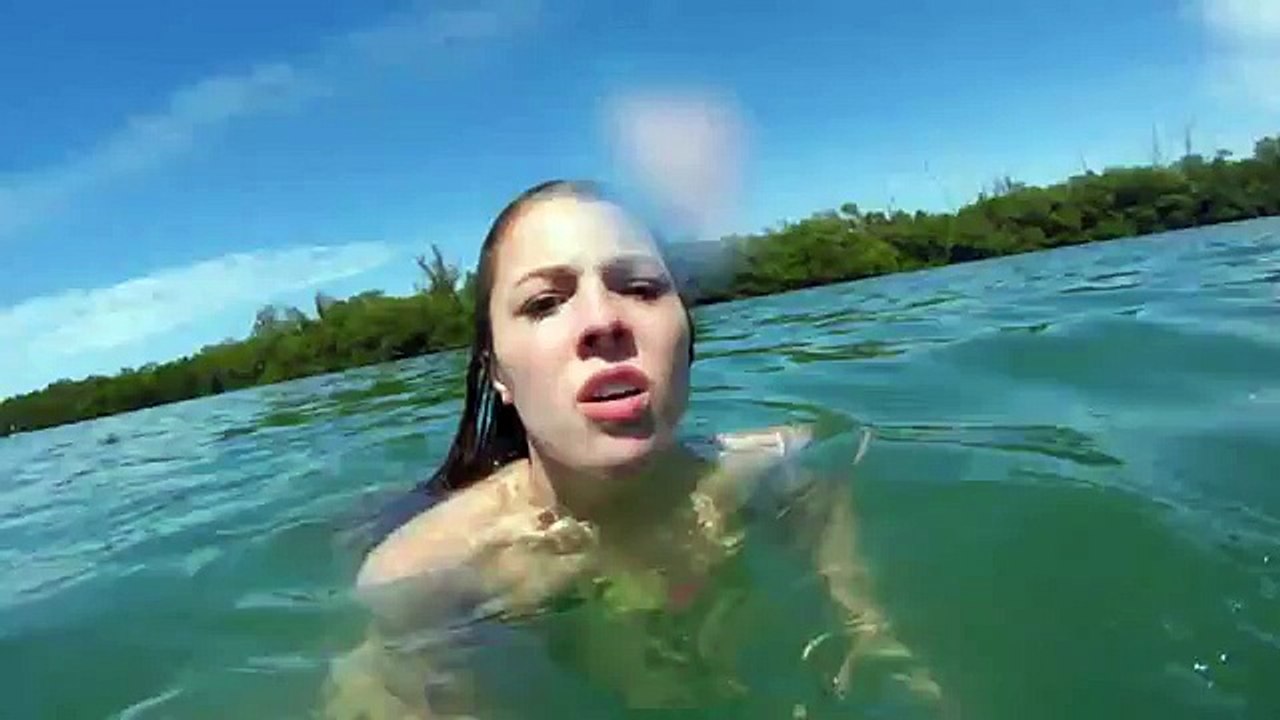 Swiming fast from a manatee