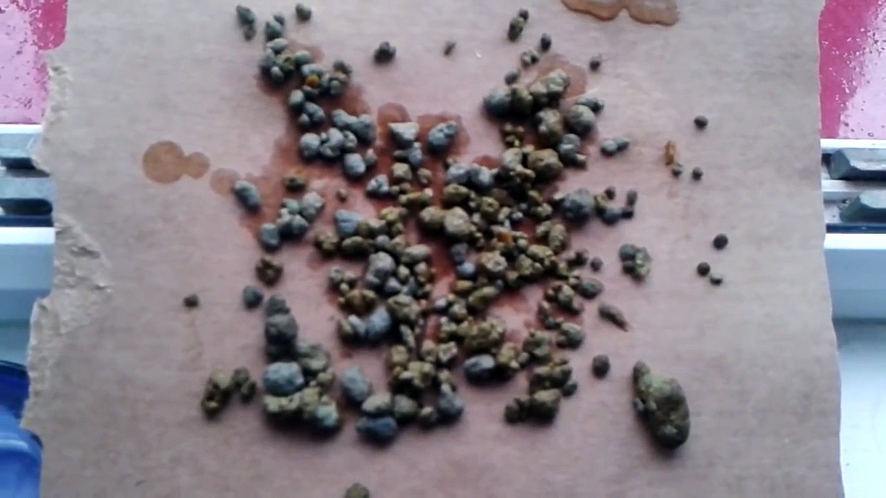 Liver and gallbladder flush (my 4th one) - Andreas Moritz method