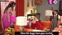 Shagun Ke Ghar Aaya Roohi Ka Dog – Yeh Hai Mohabbatein -