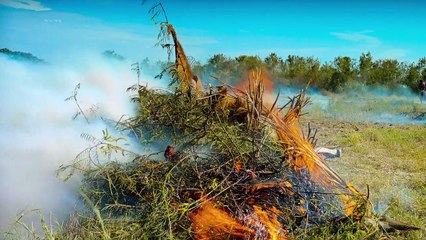 Остров лемуров: Мадагаскар / Island of Lemurs: Madagascar (2014) [Lord32x]