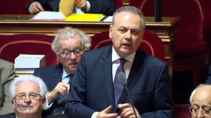 Philippe Dominati - Dysfonctionnements des sociétés d'État